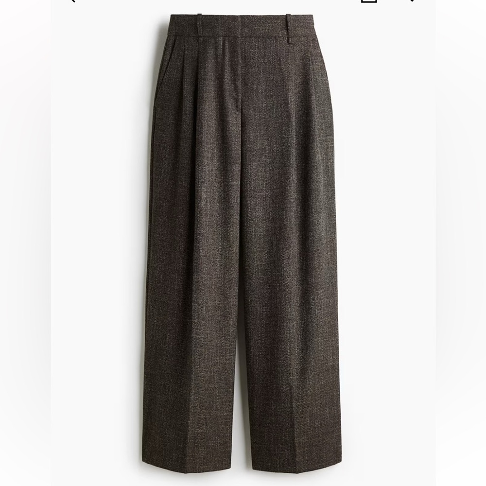 H&M Wide Leg Pleated Pants in Charcoal Gray